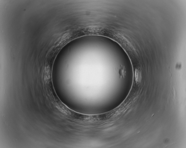 X0000098231107200804241334
