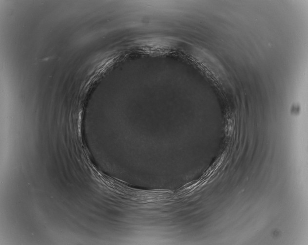 X0000098231108200804241334