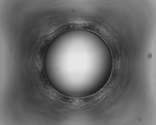 X0000098231109200804241334