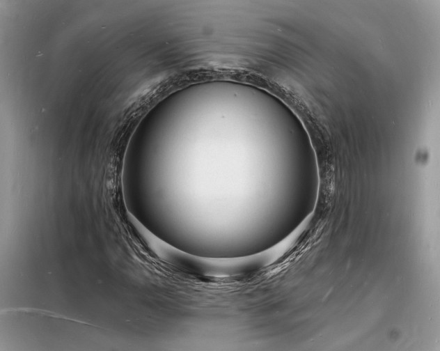 X0000098231110200804241334