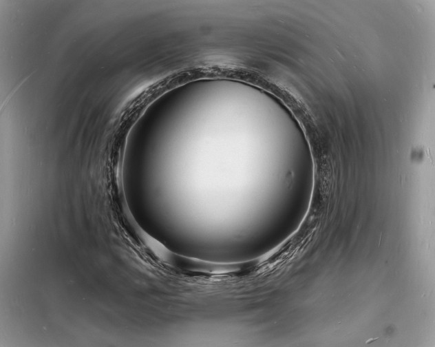 X0000098231112200804241334
