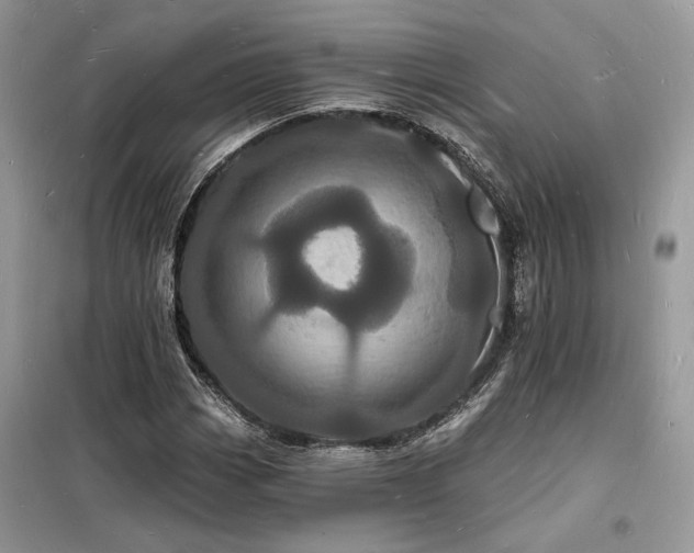 X0000098231113200804241334