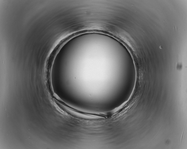 X0000098231116200804241334