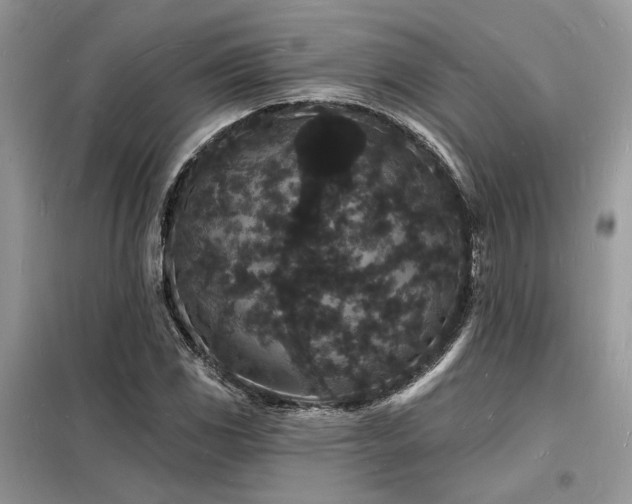 X0000098231117200804241334