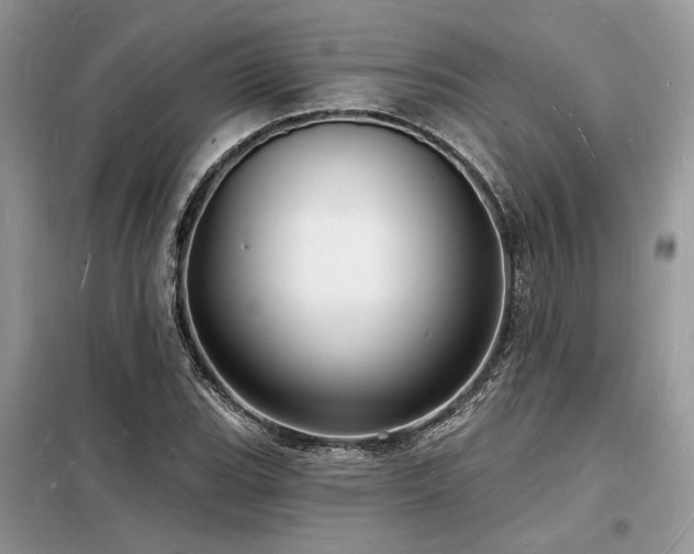 X0000098231119200804241334