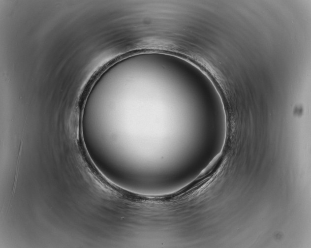X0000098231123200804241334