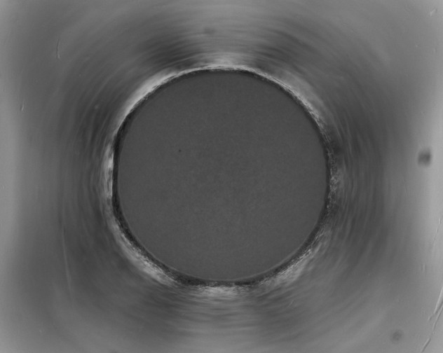 X0000098231126200804241334