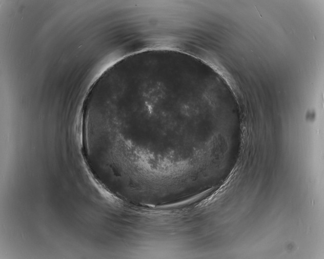 X0000098231127200804241334
