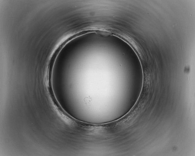 X0000098231131200804241334