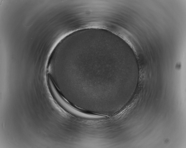 X0000098231132200804241334