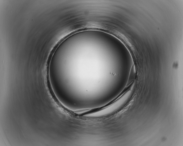 X0000098231133200804241334