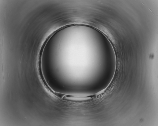 X0000098231136200804241334