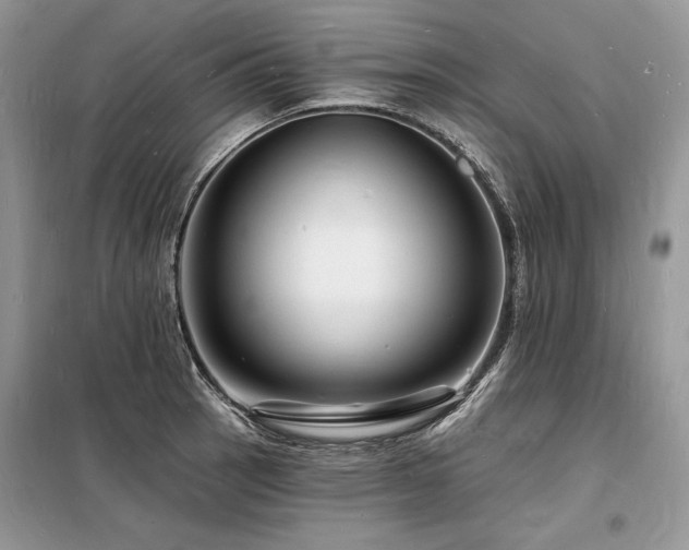 X0000098231137200804241334