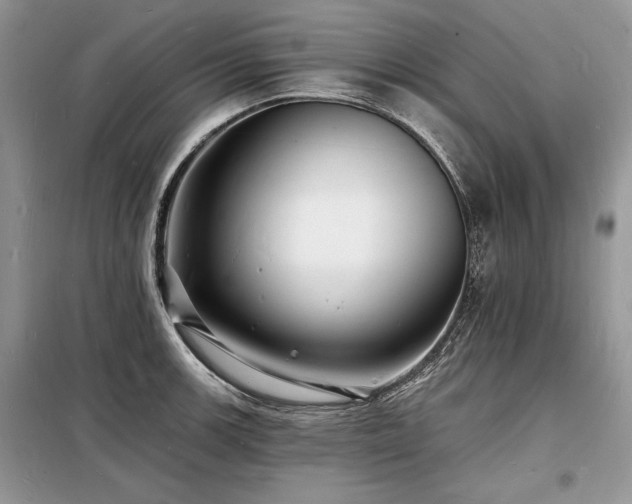 X0000098231139200804241334