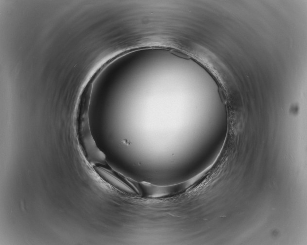X0000098231140200804241335
