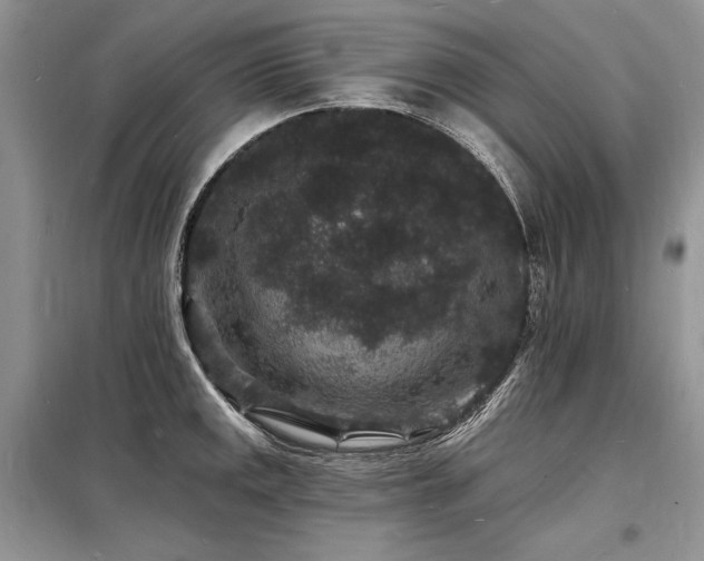 X0000098231141200804241335