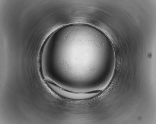 X0000098231142200804241335