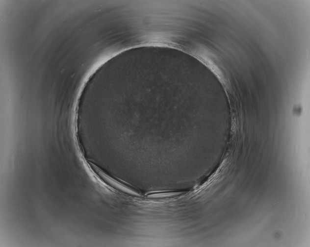 X0000098231144200804241335