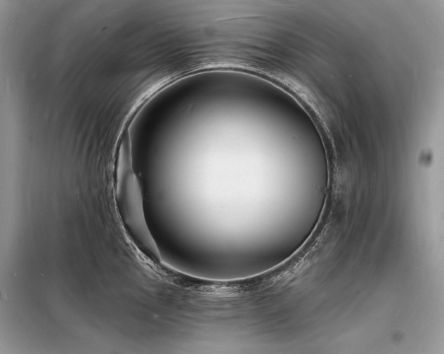 X0000098231145200804241335