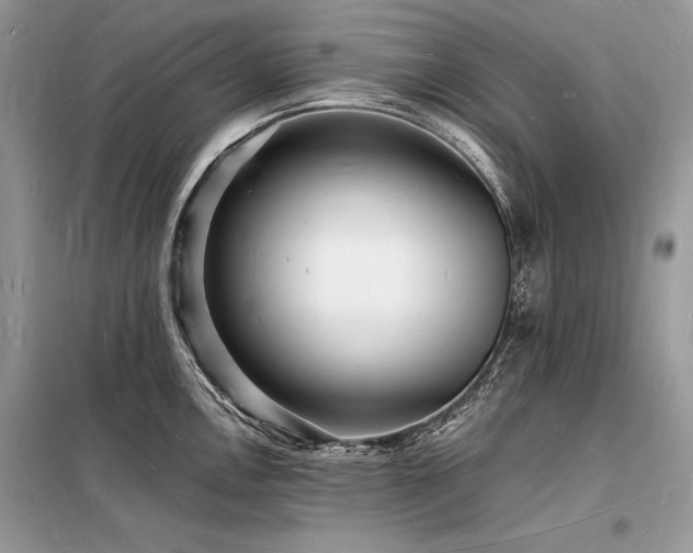 X0000098231146200804241335
