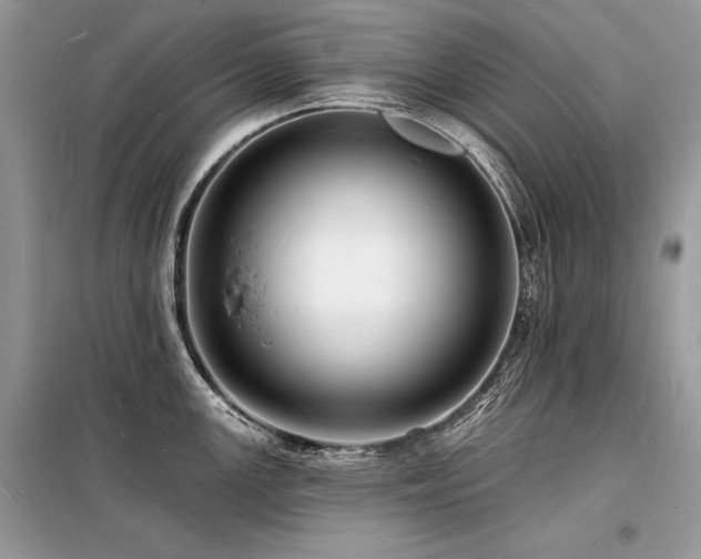 X0000098231147200804241335