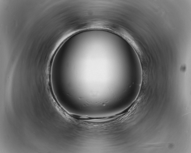 X0000098231148200804241335