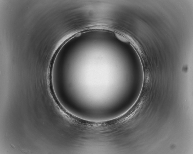 X0000098231149200804241335