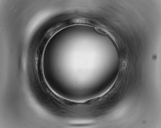X0000098231151200804241335