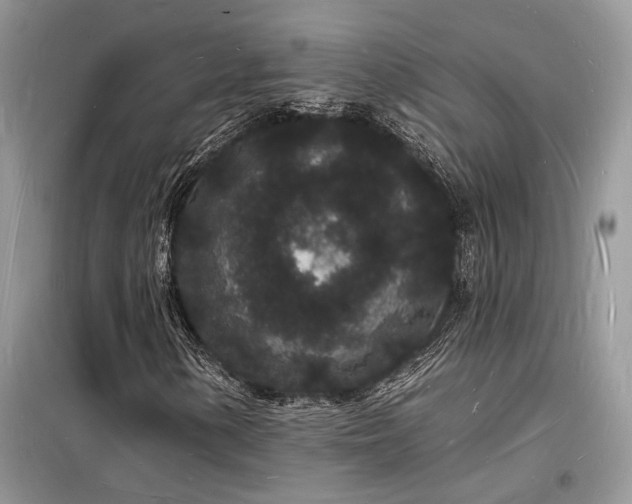 X0000098231154200804241334
