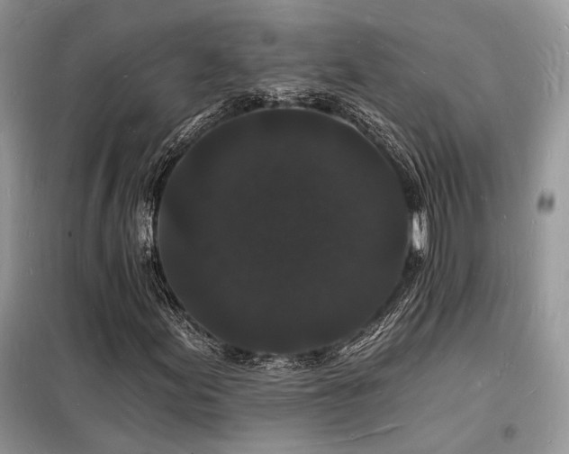 X0000098231155200804241334