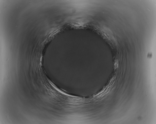 X0000098231156200804241334