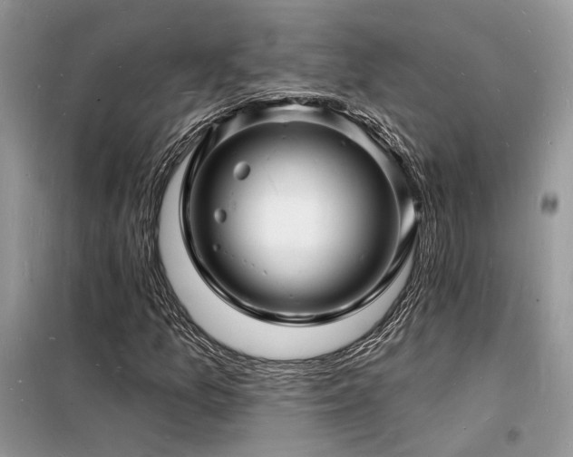X0000098231157200804241334
