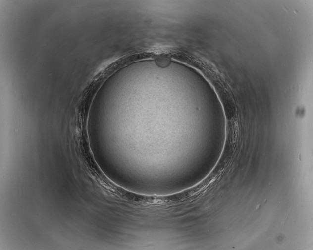 X0000098231158200804241334