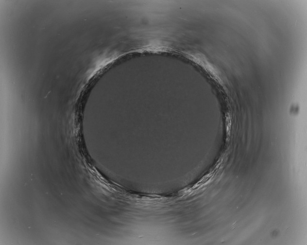 X0000098231160200804241334
