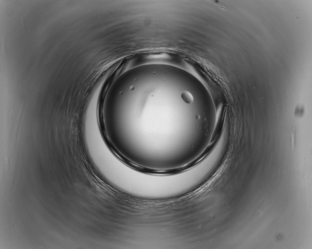 X0000098231161200804241334