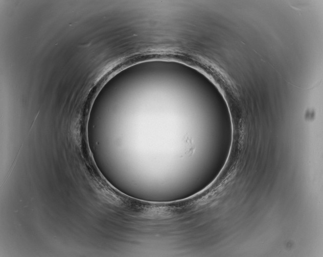 X0000098231162200804241334