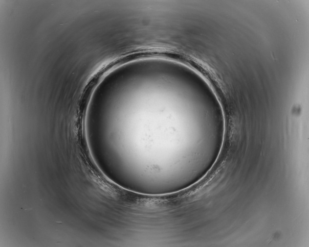 X0000098231163200804241334
