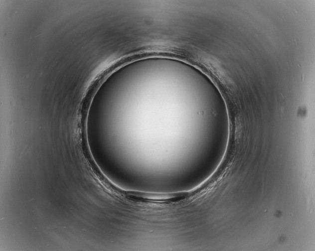 X0000098231164200804241334