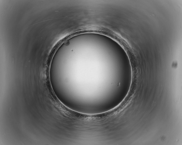 X0000098231166200804241334