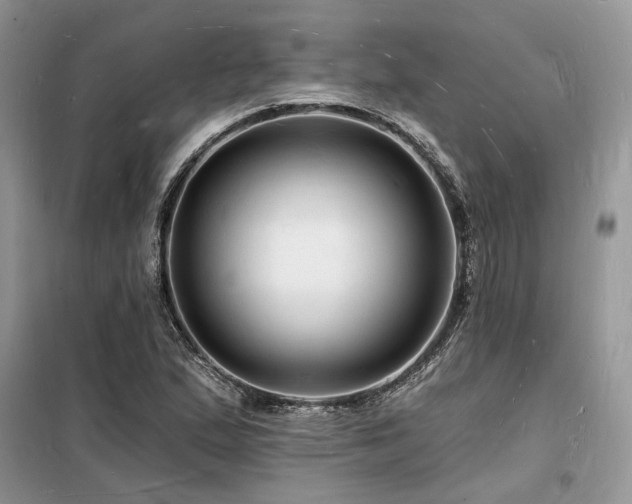 X0000098231167200804241334