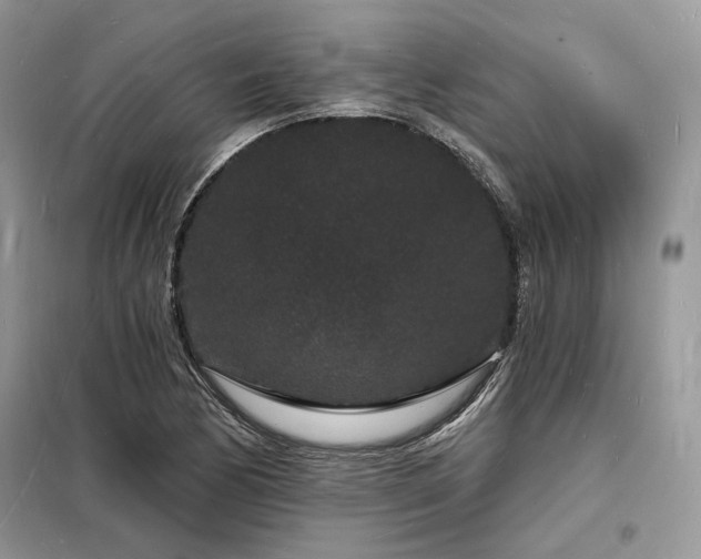 X0000098231170200804241334