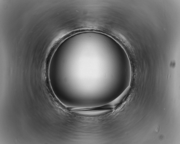 X0000098231172200804241334