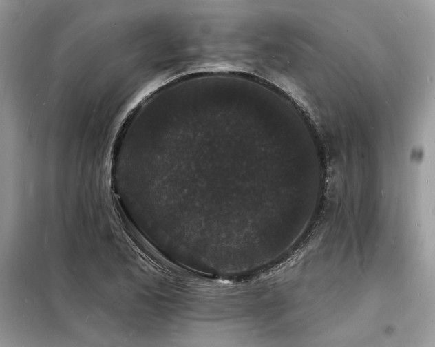 X0000098231173200804241334