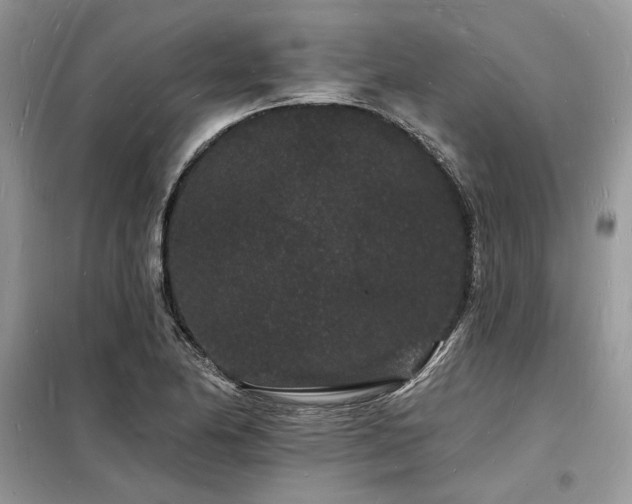X0000098231174200804241334