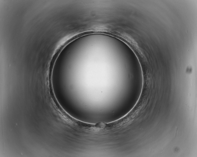 X0000098231176200804241334