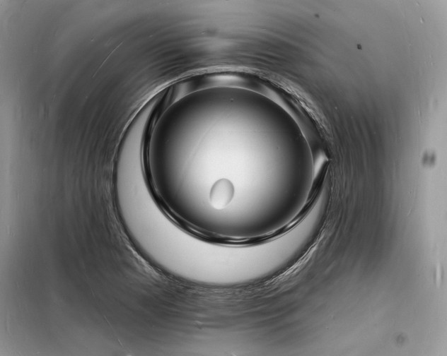 X0000098231177200804241334