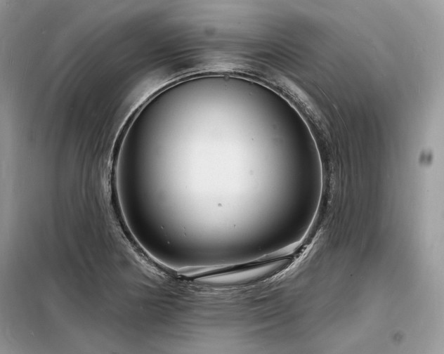 X0000098231178200804241334