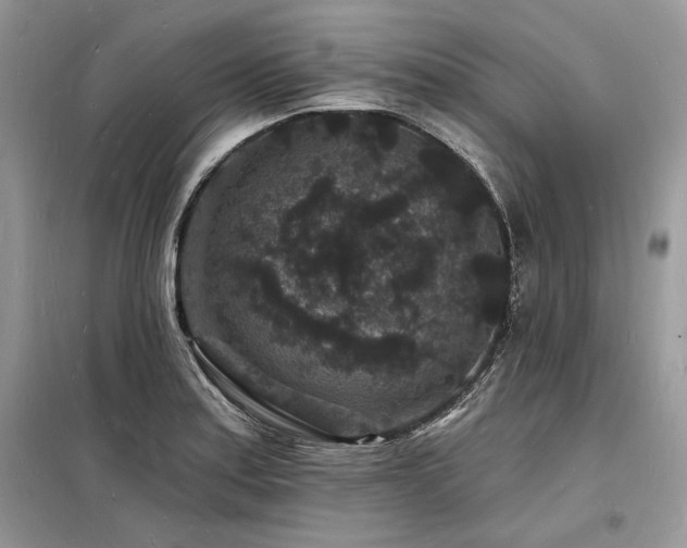 X0000098231179200804241334