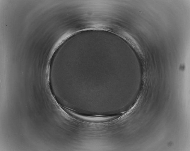 X0000098231180200804241334