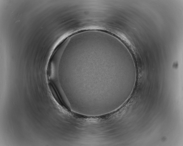 X0000098231181200804241334